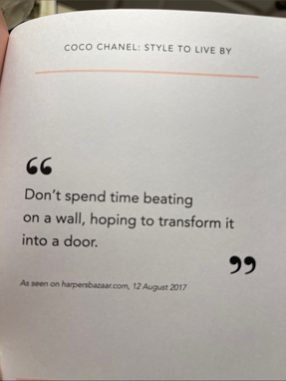 Coco Chanel - Picture 4 of 7